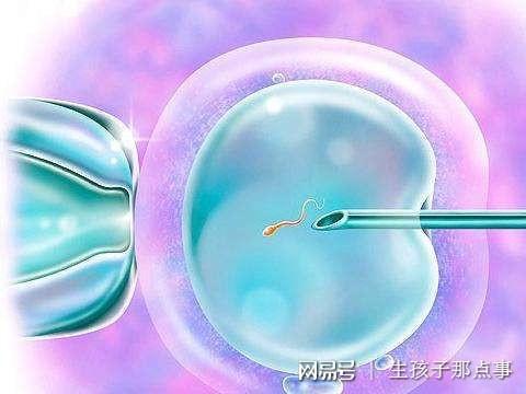 怀孕试纸