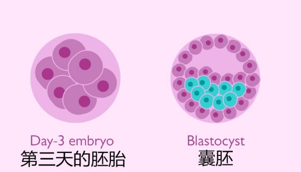 超级育儿师兰海