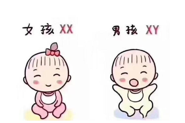 超级育儿师