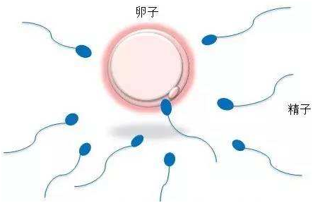 超级育儿师