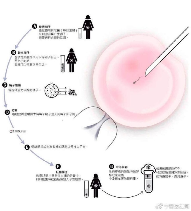 试纸怀孕检测