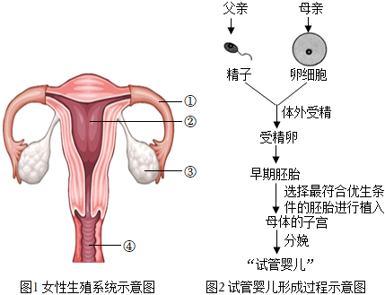 走失回来六甲分娩