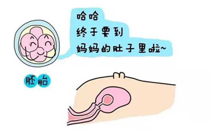 试管婴儿