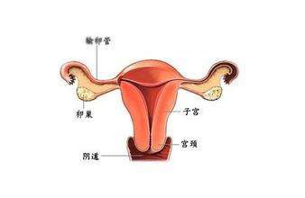 蹭一蹭