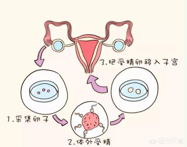 着床检测