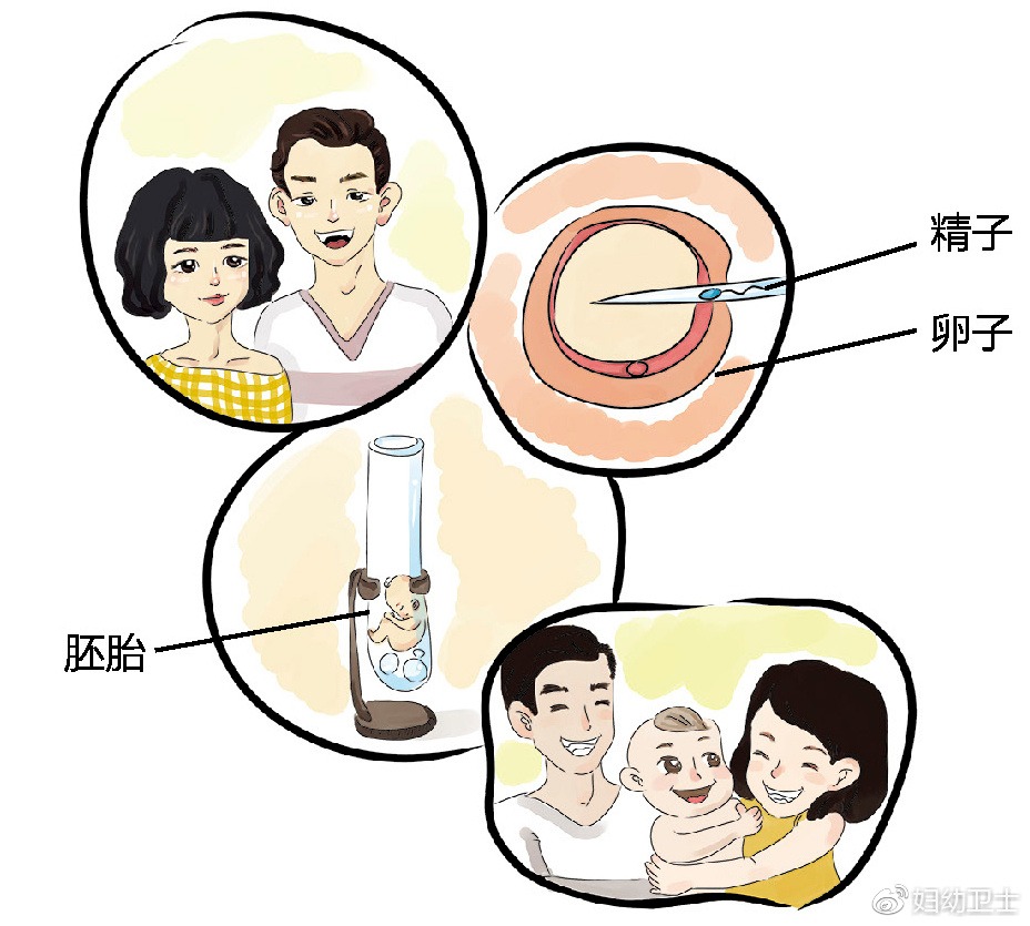 试管试纸