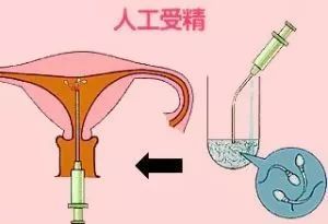 早孕试纸