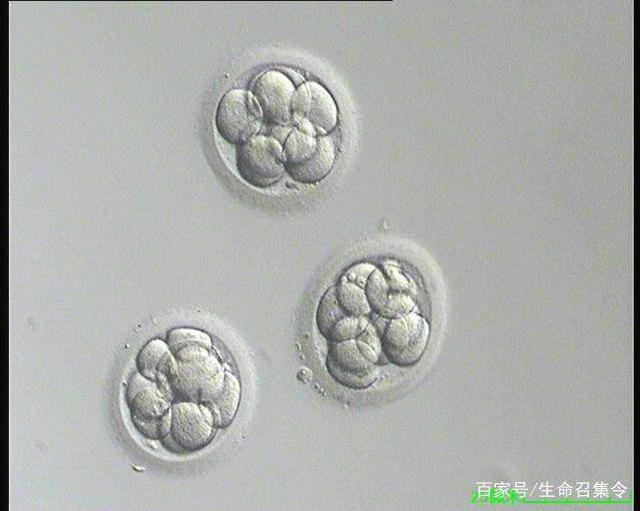 经期