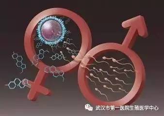 超级育儿师叛逆