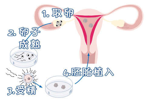 越吃子宫越干净的水果