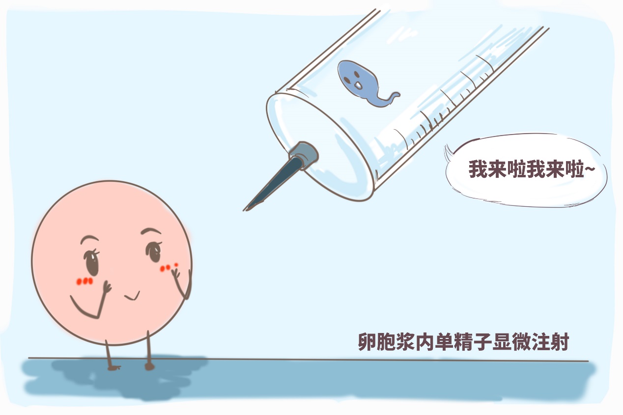 起诉离婚