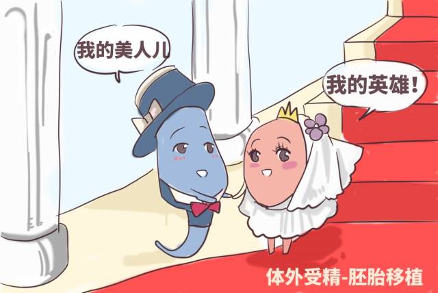 超级育儿师兰海