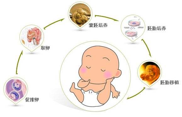 早孕试纸