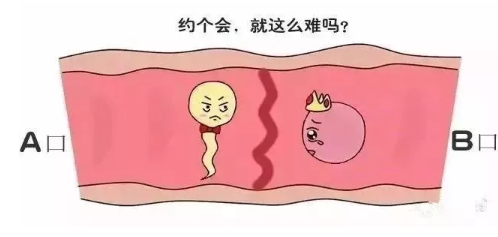 起诉离婚