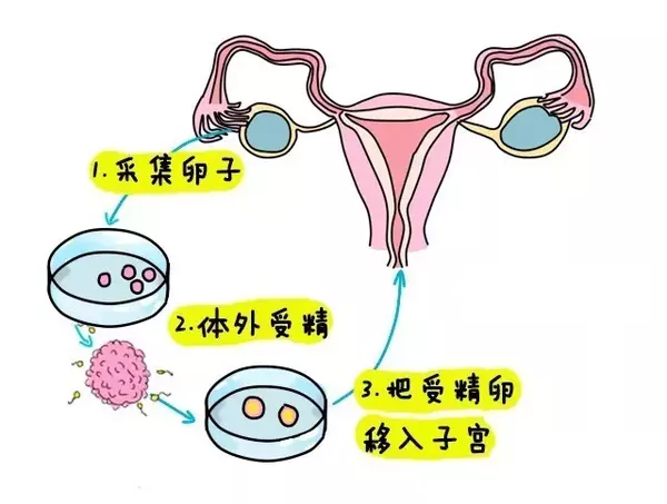 试纸检测