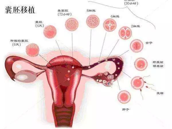 超声检查