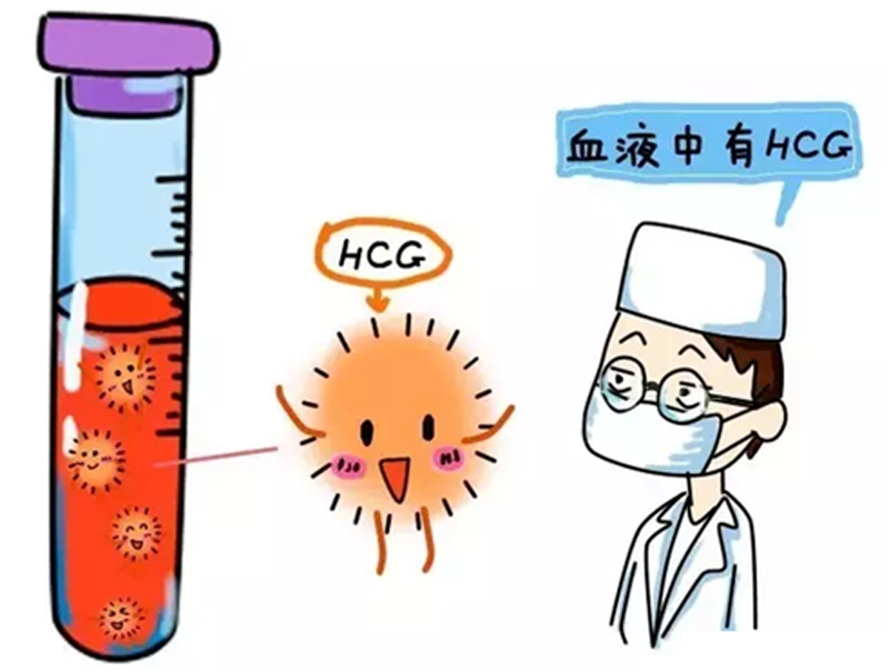 试纸怀孕