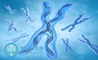 超级育儿师在线观看完整版城城