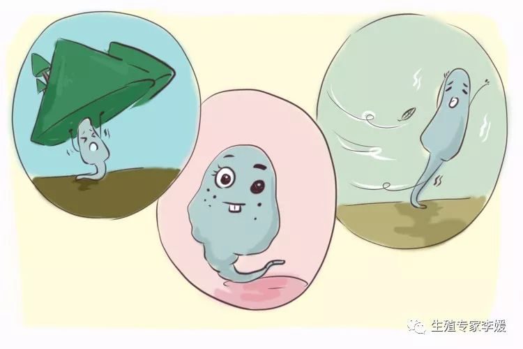 起诉离婚