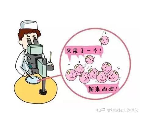 成都试管婴儿