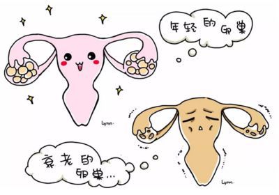 保定试管婴儿