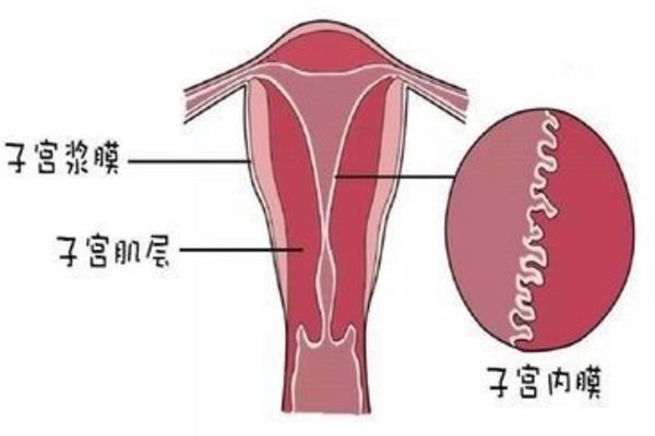 泉州试管婴儿